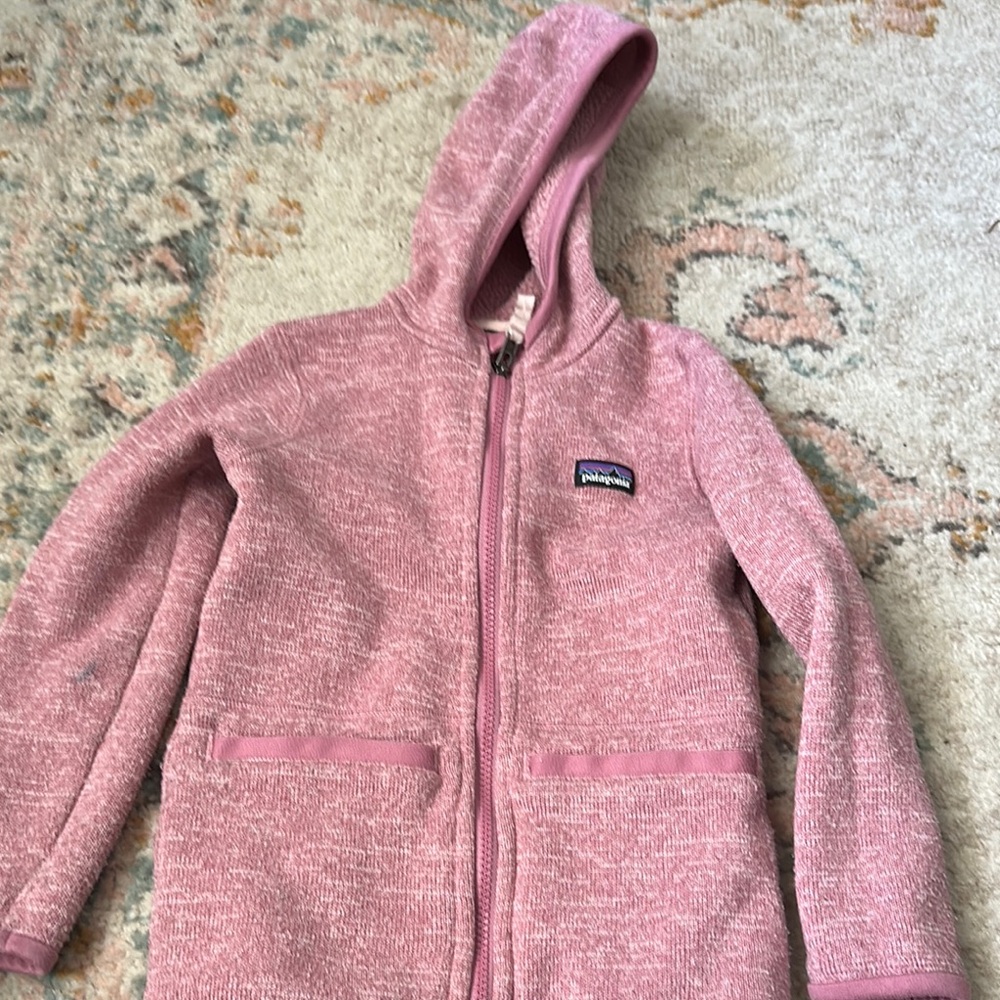 Patagonia Kids Pink Hooded Zip Sweatshirt